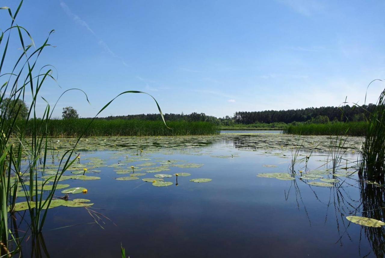 Ferienanlage Waschbaer Country Templin Buitenkant foto