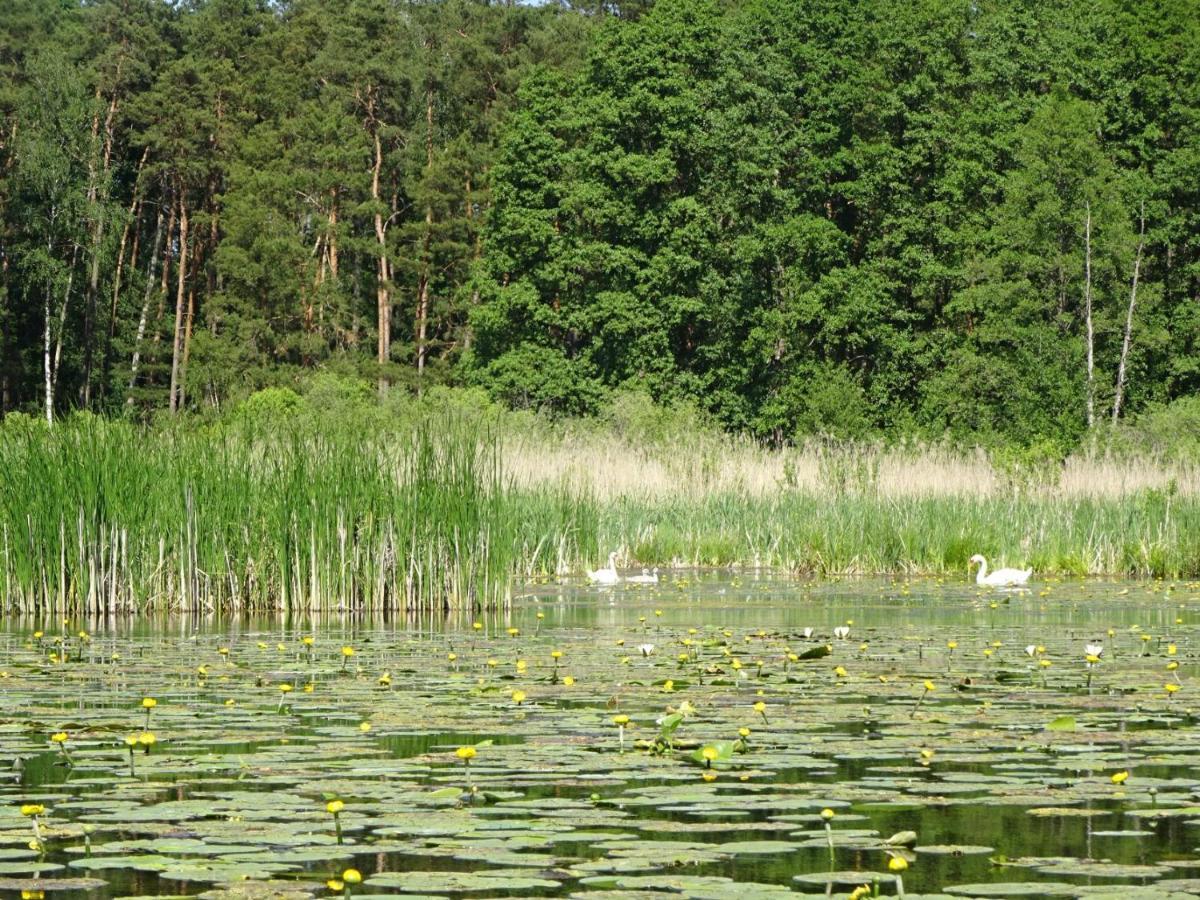 Ferienanlage Waschbaer Country Templin Buitenkant foto