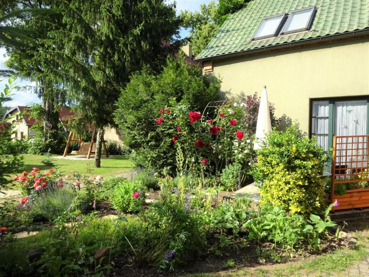 Ferienanlage Waschbaer Country Templin Buitenkant foto