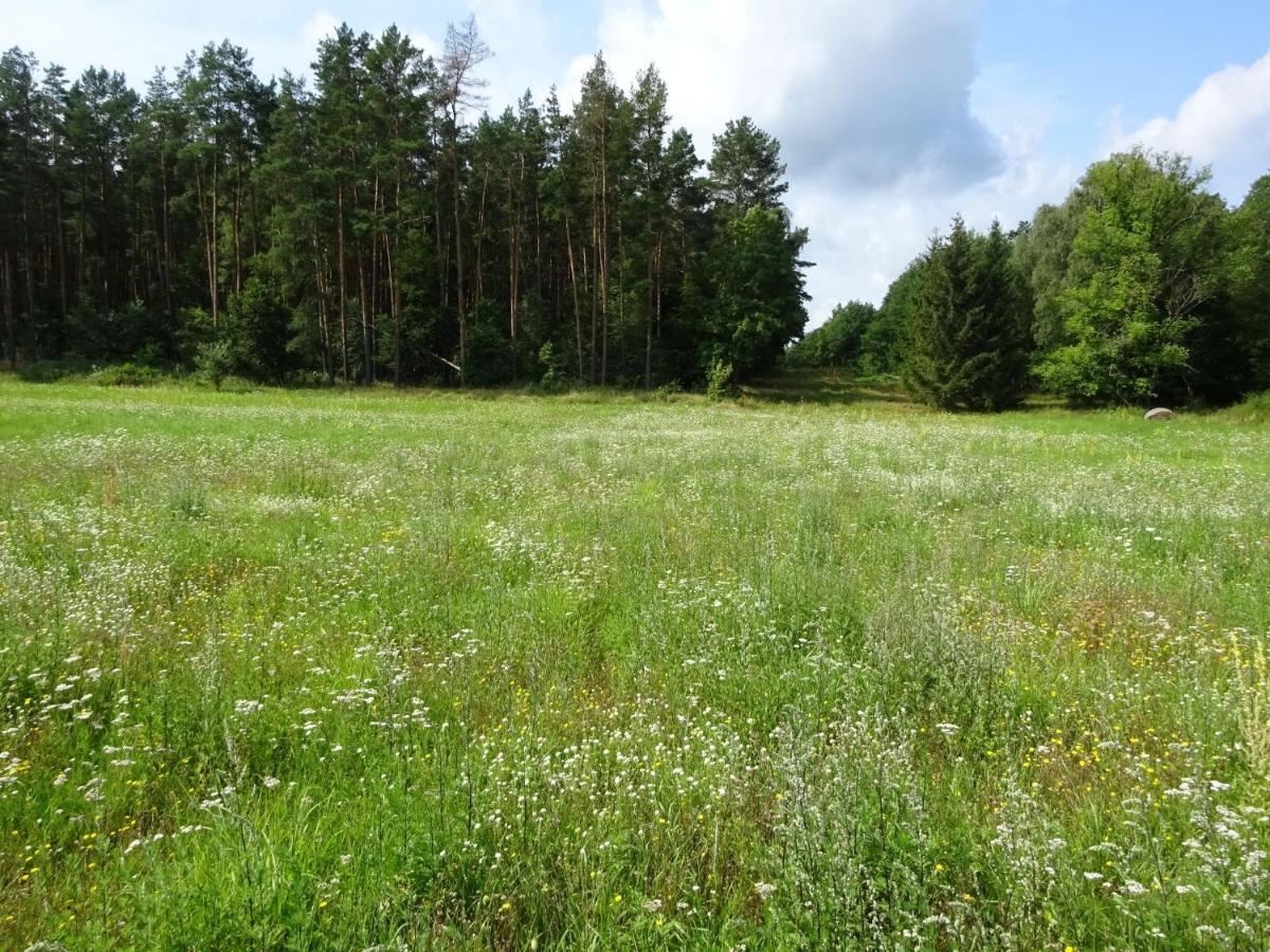 Ferienanlage Waschbaer Country Templin Buitenkant foto
